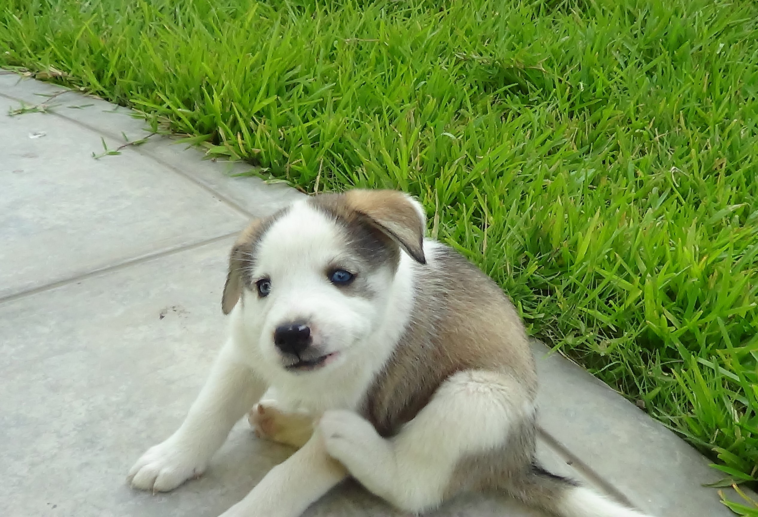 Luna foto 3