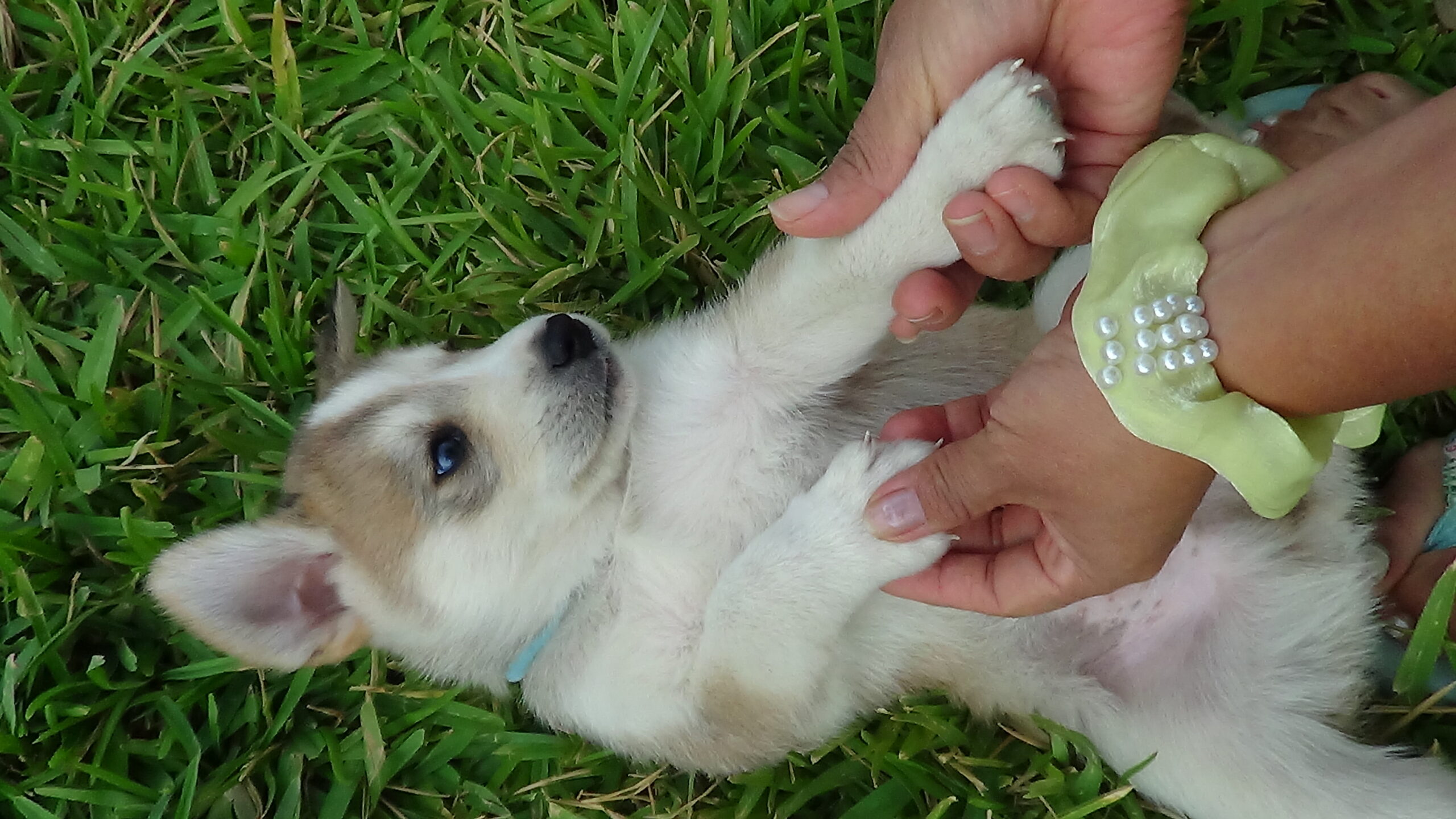 Thor foto 2